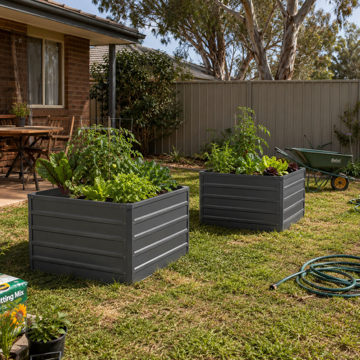 Deep Garden Beds with plants in a backyard setting.
