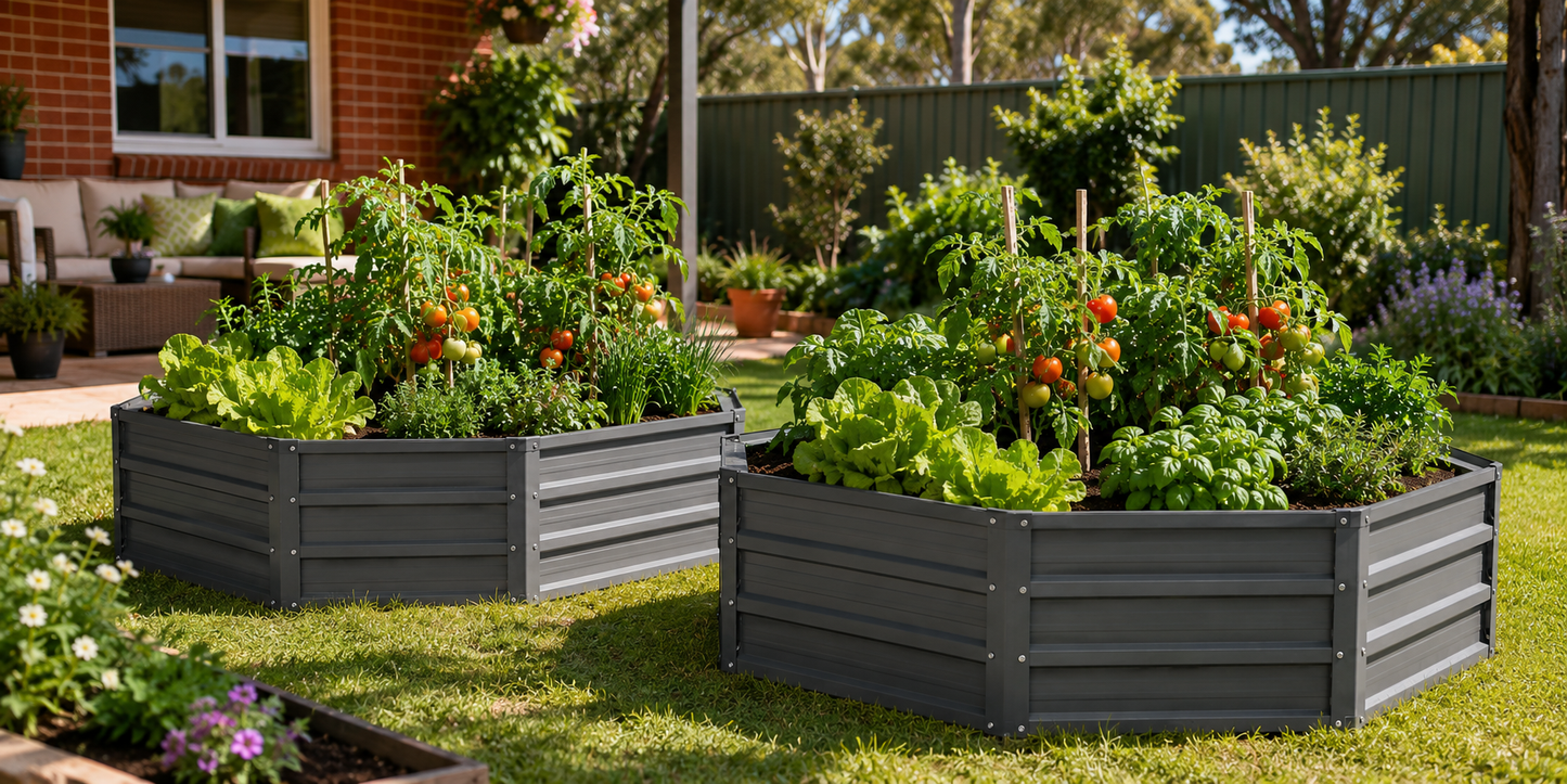 Two dark gray raised garden beds filled with leafy greens and tomato plants in a sunny backyard garden setting.