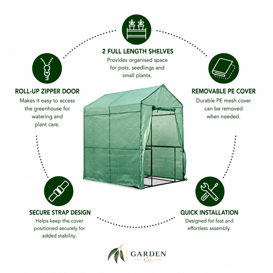 A green fabric greenhouse tent with a roll-up zipper door, shown on a white background with feature callouts and icons. The text highlights features such as two full-length shelves, removable PE cover, secure strap design, and quick installation.