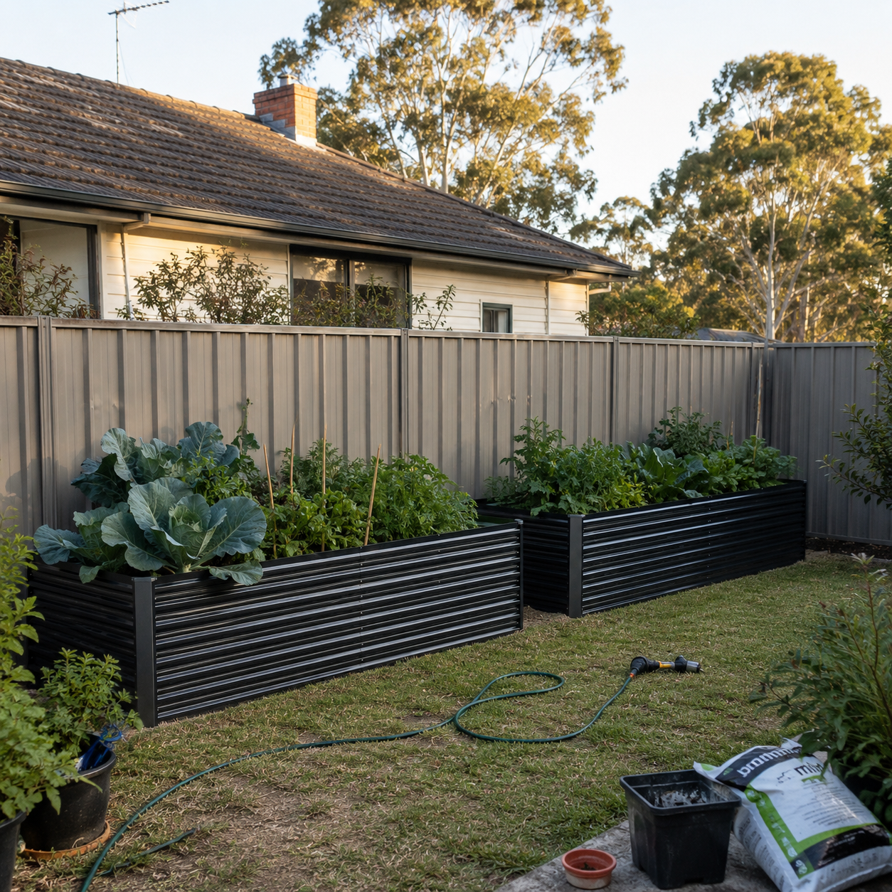 2 in 1 galvinised garden bed with vegies in a backyard