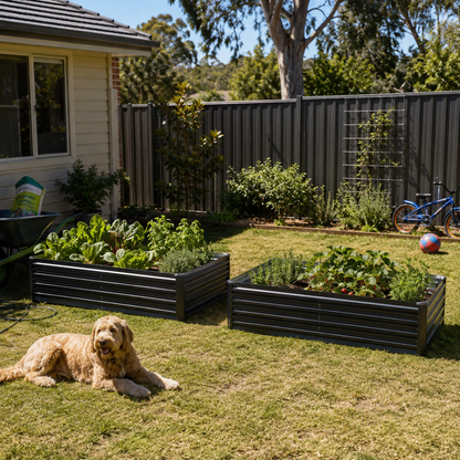 Dog lying on grass next to raised garden beds with plants in a backyard setting.