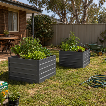 Deep Garden Beds with plants in a backyard setting.
