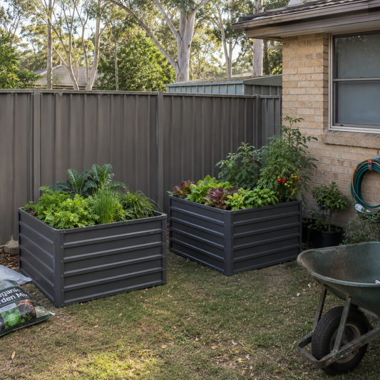 Deep garden beds 2 pack with plants in a backyard setting.