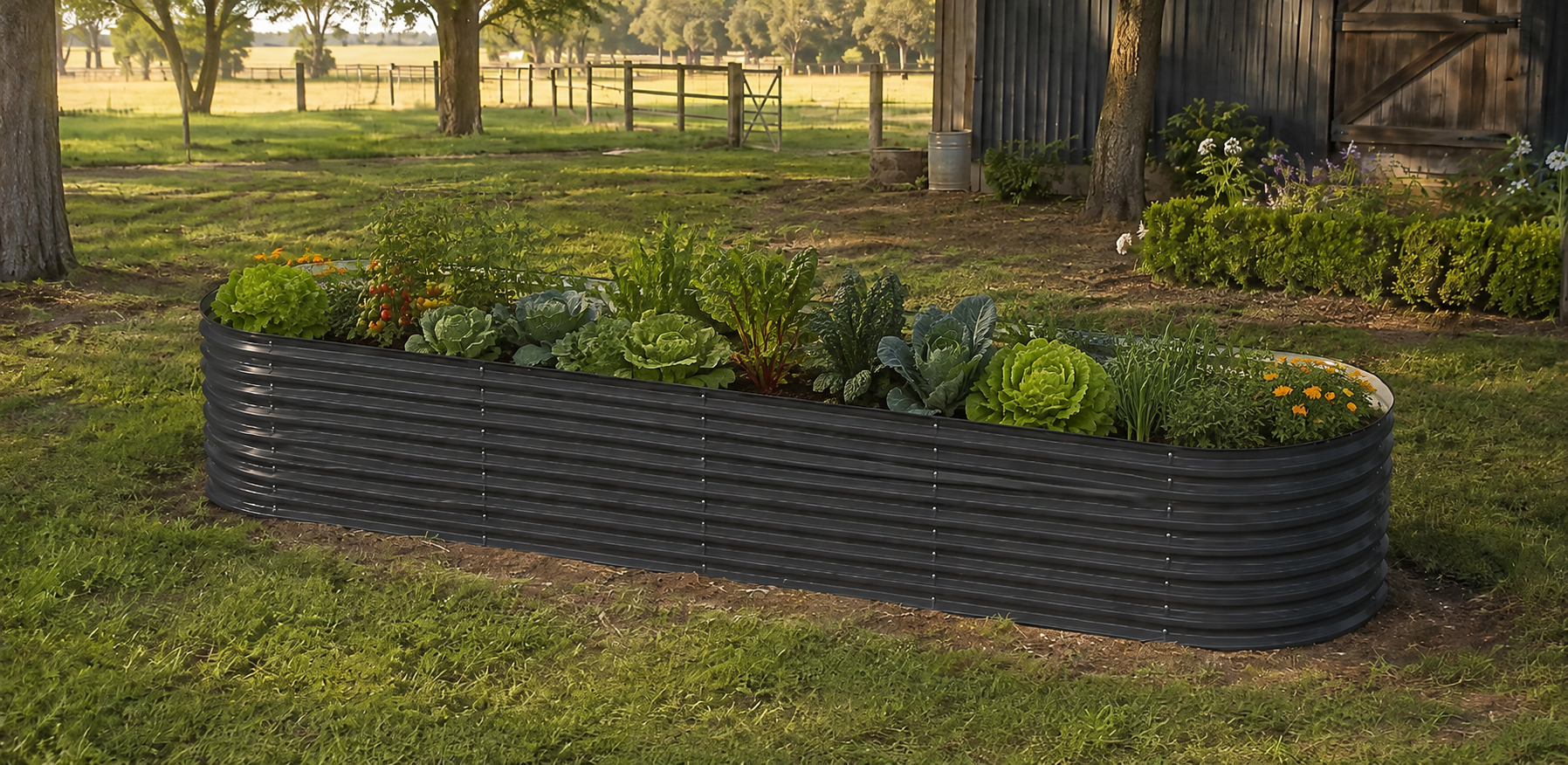 A long, corrugated black raised garden bed filled with green plants and vegetables, situated on a grassy lawn in front of a rustic wooden barn.