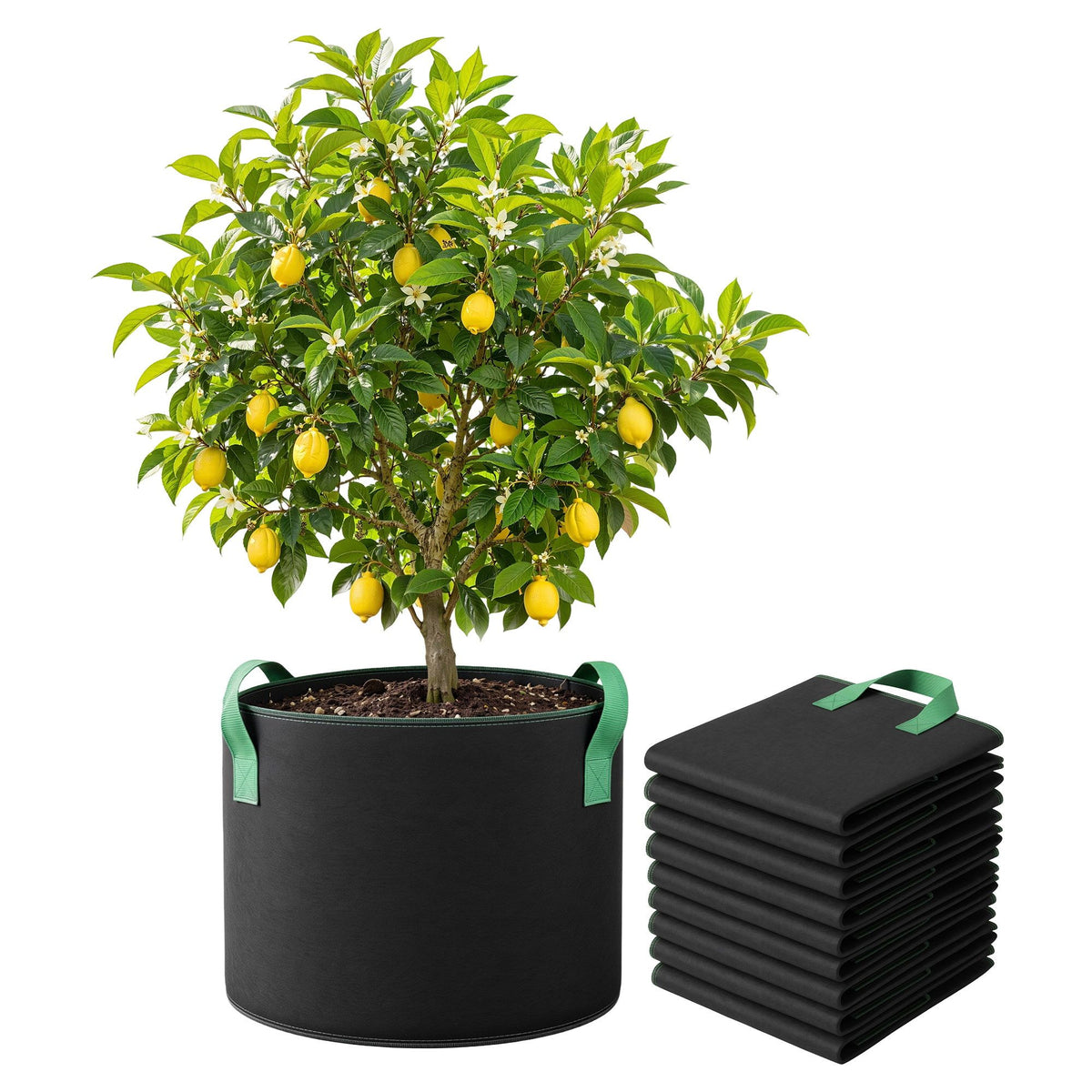 Green Fingers 20 Gallon Grow Bags 300gsm thick Aeration Fabric Pots 10 Pack
