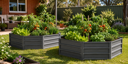 Two dark gray raised garden beds filled with leafy greens and tomato plants in a sunny backyard garden setting.