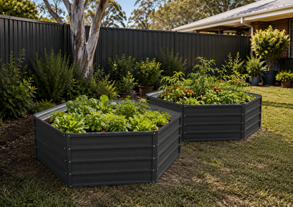 Two dark gray raised garden beds filled with green plants, set in a backyard lawn with a black fence, trees, and house visible in the background.