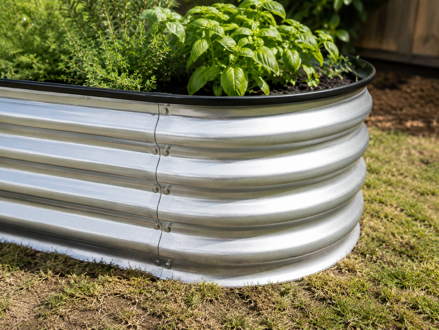 A galvanized steel raised garden bed with a corrugated metal design, filled with green herbs, shown outdoors on a grassy lawn.