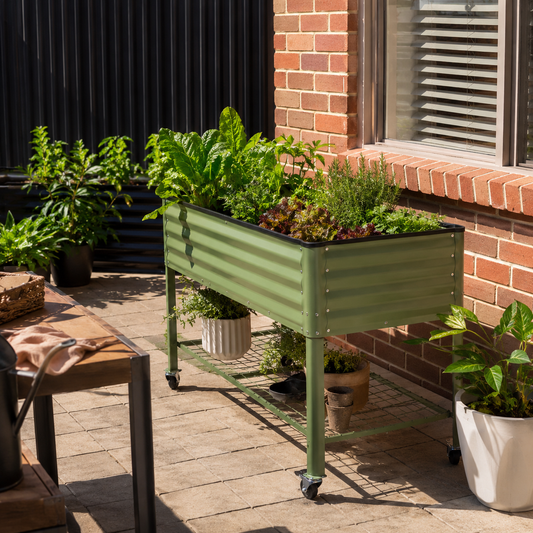 An olive green metal raised garden bed on wheels, filled with leafy green plants, set in a backyard patio environment next to a brick wall.