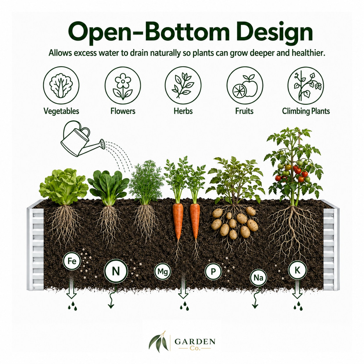 An educational infographic titled 'Open-Bottom Design' explaining how excess water drains from a raised garden bed, allowing plants to grow deeper and healthier. The graphic shows various plants (vegetables, flowers, herbs, fruits, climbing plants) with visible roots and nutrients (Fe, N, Mg, P, Na, K) being absorbed from the soil.