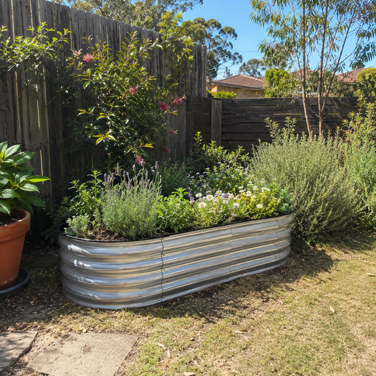 A galvanized steel corrugated planter box filled with green herbs and small white flowers, situated in a backyard garden next to a wooden fence and grass.