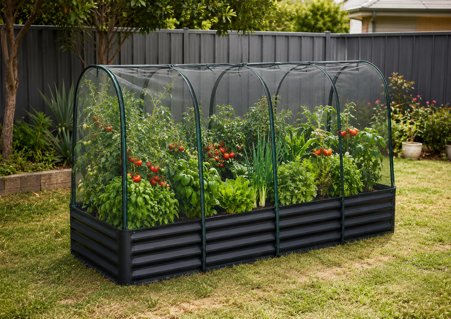 A long rectangular raised garden bed with a clear arched tunnel cover, filled with green plants and red flowers, set on a grassy backyard lawn in front of a dark fence.