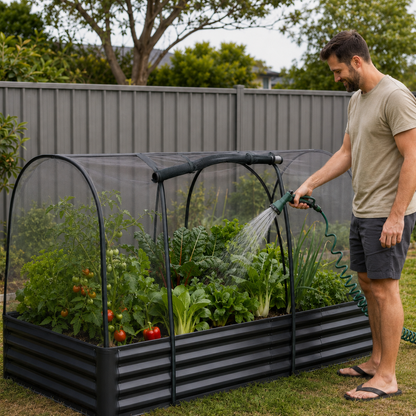 A man watering a raised garden bed covered with a black arched protective mesh tent in a backyard garden setting.