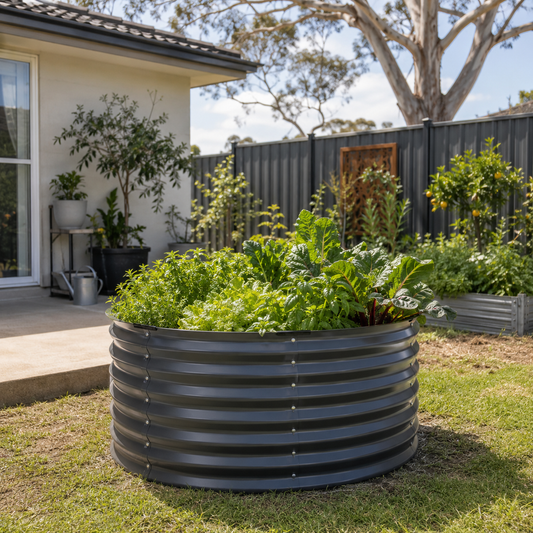 Image of a herbs and vegetables in a round grey steel garden bed in an Australian backyard.