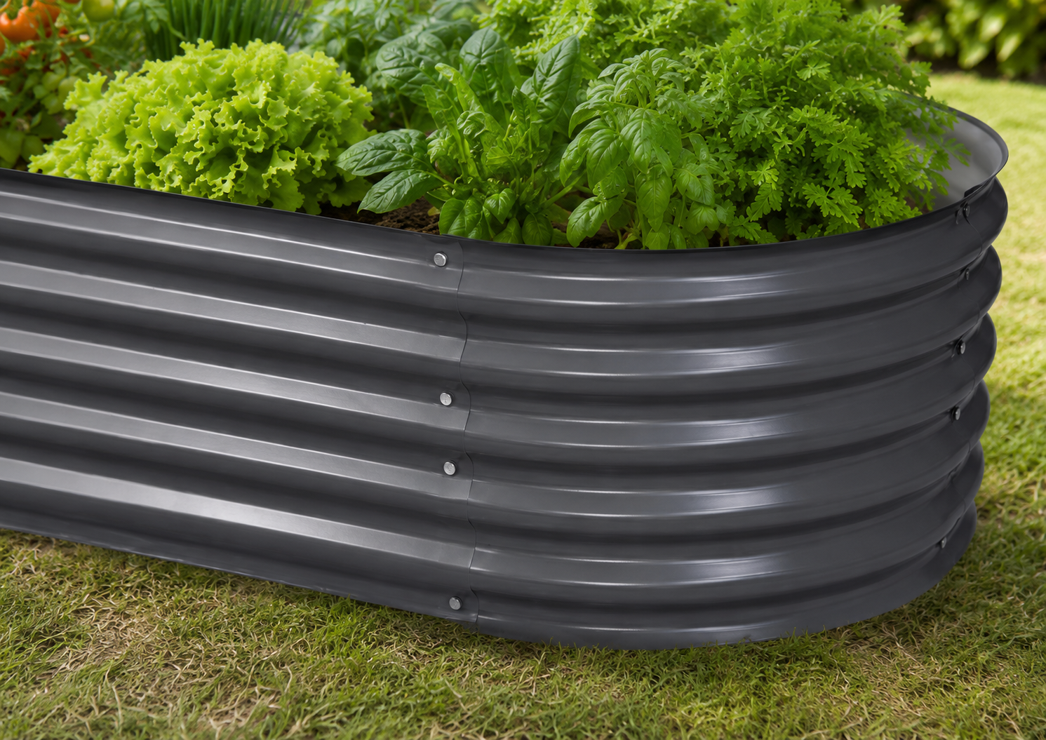 A dark gray corrugated metal raised garden bed filled with green leafy plants, shown on a grassy lawn.