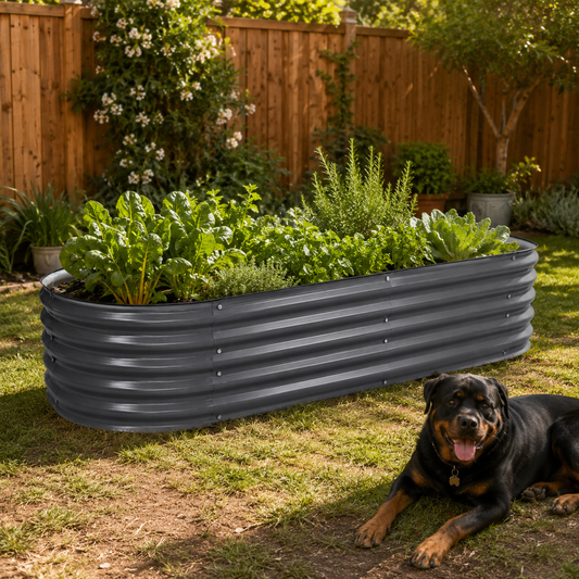 A dark gray corrugated metal raised garden bed filled with leafy green plants, set in a backyard on grass with a Rottweiler dog lying nearby and a wooden fence in the background.