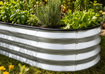 A curved galvanized steel raised garden bed filled with green herbs and lettuce, shown outdoors on grass in a garden setting.