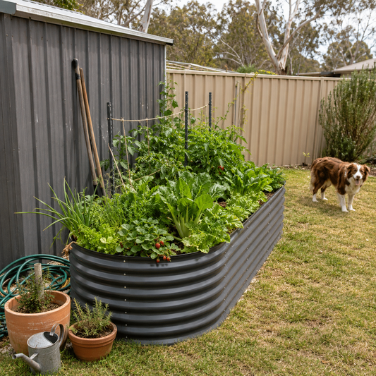 A large corrugated metal raised garden bed filled with leafy green plants in a backyard, with a brown and white dog standing on the grass nearby, a shed on the left, and a fence in the background.