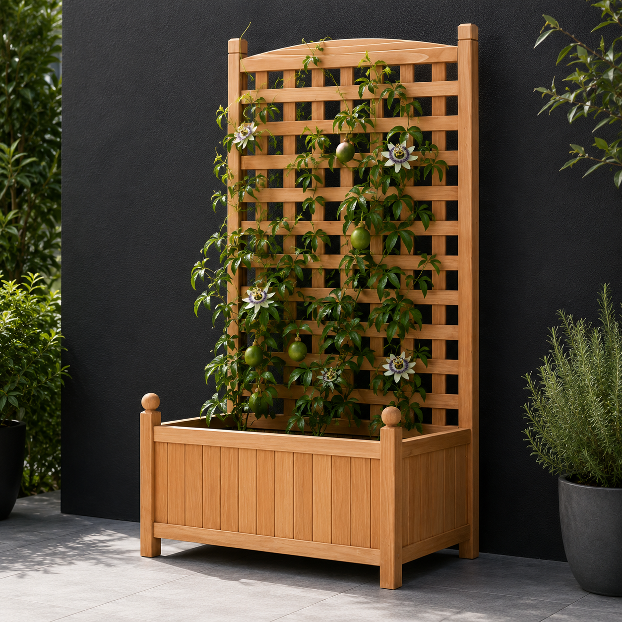 Wooden Garden Bed with Trellis - Wooden planter with trellis with passionfruit against a black wall