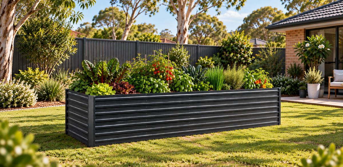 1 large garden bed on lawn filled with herbs and vegetables