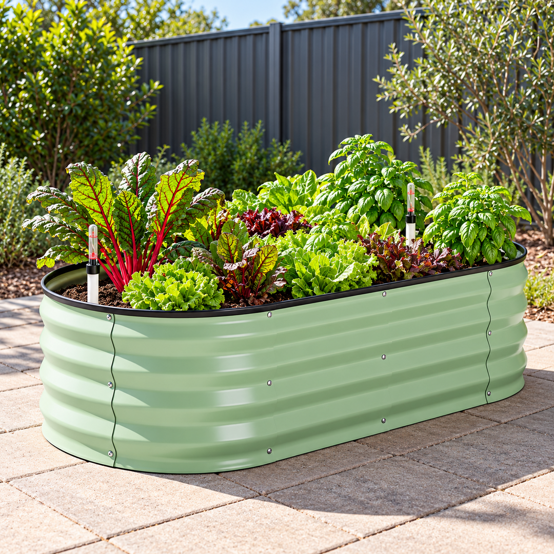 Green oval self-watering raised garden bed planted with lettuce, chard and basil on backyard pavers.