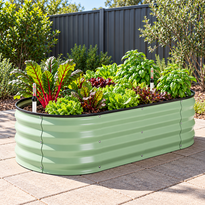 Green oval self-watering raised garden bed planted with lettuce, chard and basil on backyard pavers.