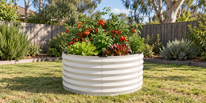 A round, white corrugated metal raised garden bed filled with green plants and red flowers, situated on a green lawn in a backyard with a wooden fence.